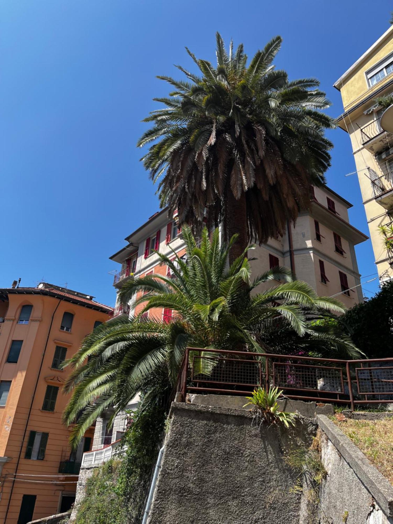 Donna Lucrezia Apartment La Spezia Exterior photo
